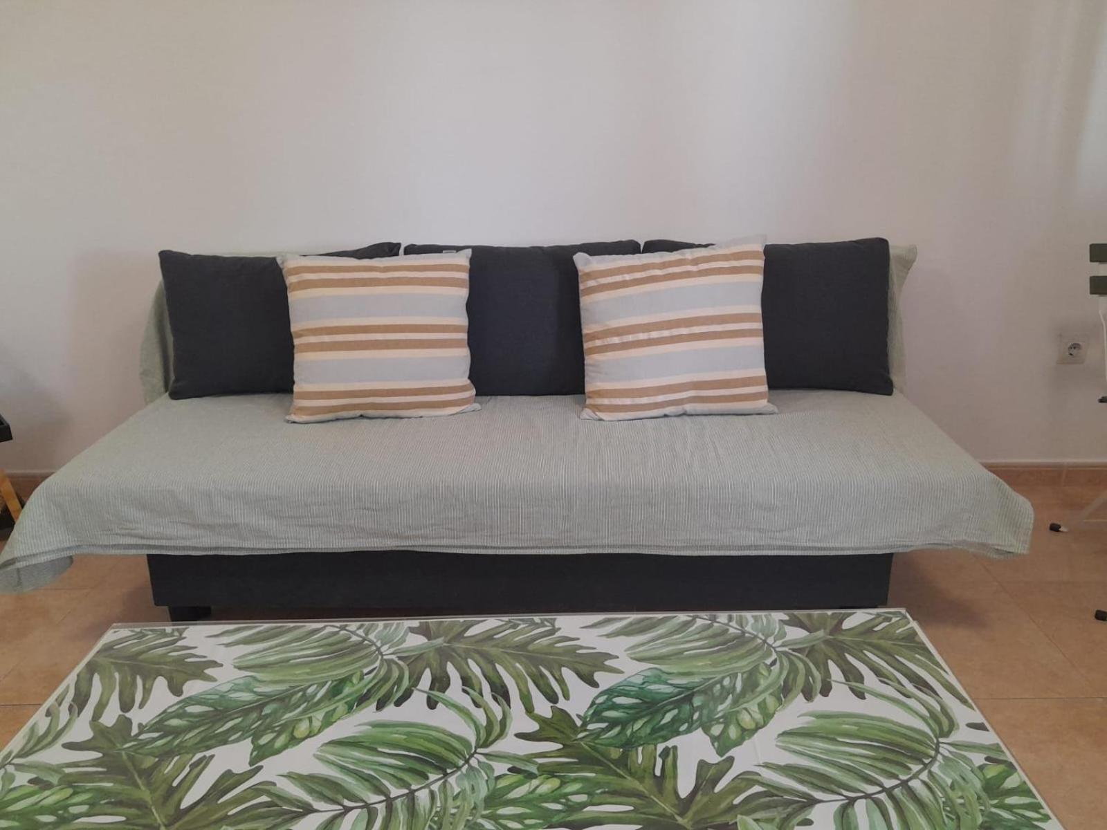 Apartament Casa Damar *